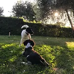 Bicchi מלון דירות סקרלינו