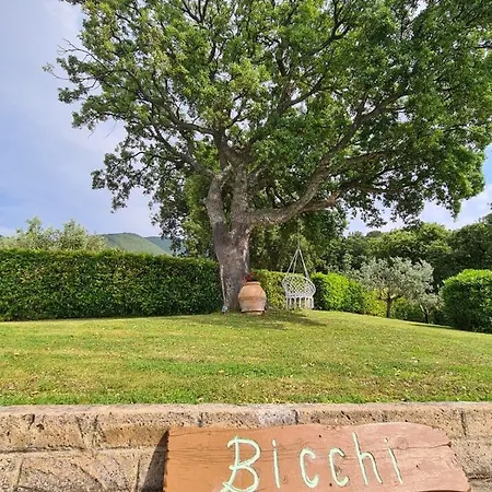 Bicchi 아파트호텔